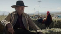 'CRY MACHO': Sensibilidad que sale al encuentro.